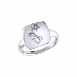 Top 10 π₯° Monary Aquarius Water-Bearer Amethyst & Diamond Constellation Signet Ring in Sterling Silver for π© women β€οΈ
