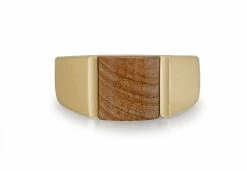 Top 10 😉 Monary Wood Jasper Stone Signet Ring in 14K Yellow Gold Plated Sterling Silver for men ✨