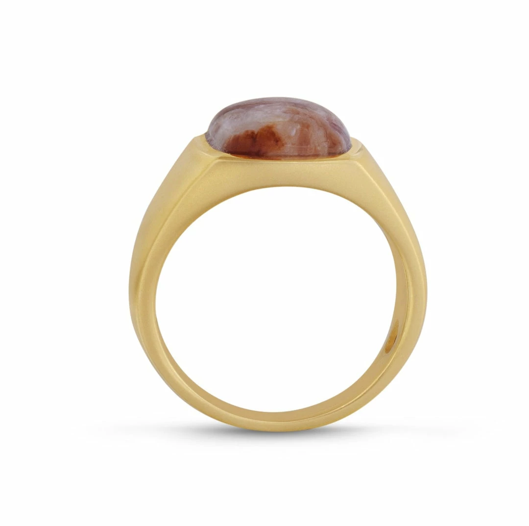 Budget βοΈ Monary Red Lace Agate Iconic Stone Signet Ring in 14K Yellow Gold Plated Sterling Silver for men β - Image 4